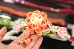 IMG_3646