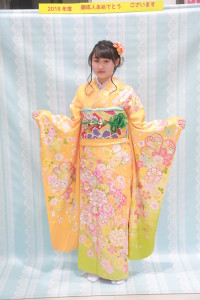 2400seijinnshiki18