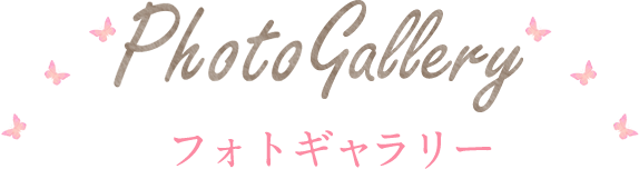 フォトギャラリー