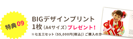 BIGデザインプリント1枚プレゼント