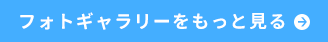 フォトギャラリーをもっと見る