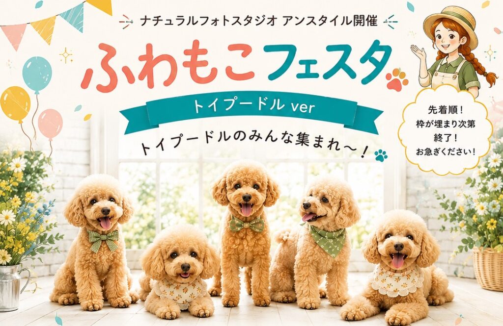 トイプー大集合！「ふわもこフェスタ トイプードルver」開催