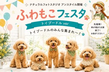 トイプー大集合！「ふわもこフェスタ トイプードルver」開催♪