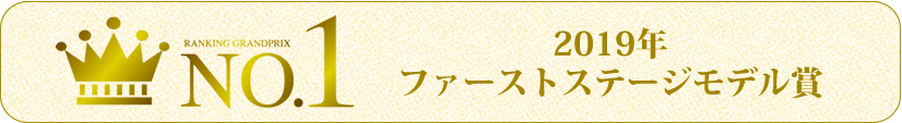 2019年ファーストステージモデル賞