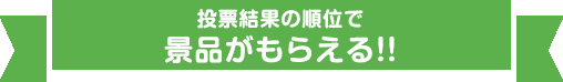 投票方法は店頭とWEBとインスタの3つ