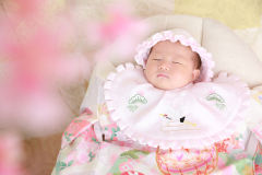 お客様写真館1001-110