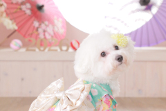 お客様写真館1001-95