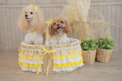 お客様写真館250815-21