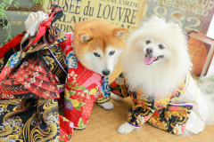 お客様写真館250815-57