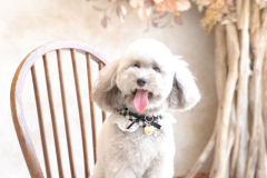 お客様写真館250815-73