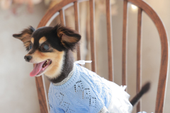 お客様写真館250815-74