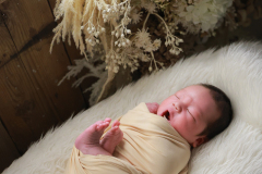 お客様写真館250901-5