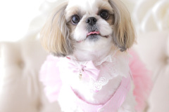 お客様写真館250915-30