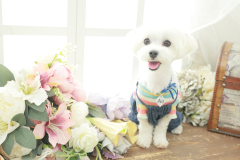 お客様写真館250915-7