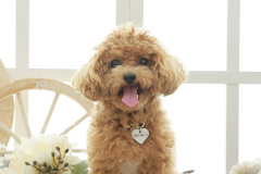 お客様写真館250915-8