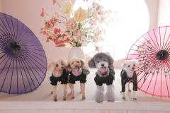 お客様写真館251115-140