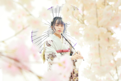 220_振袖_他店成約者-5