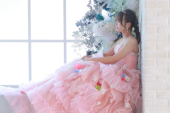 310_マイﾄﾞﾚｽ