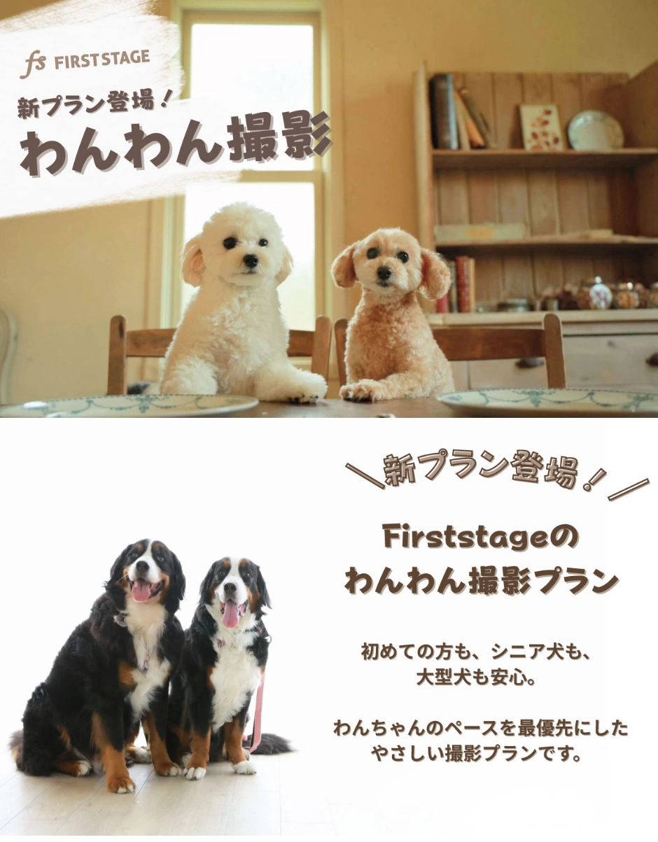 わんわん撮影新プラン登場