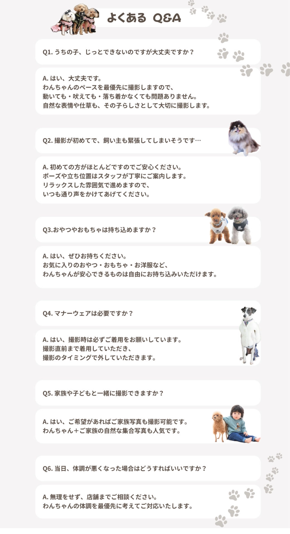 わんわん撮影のよくあるご質問
