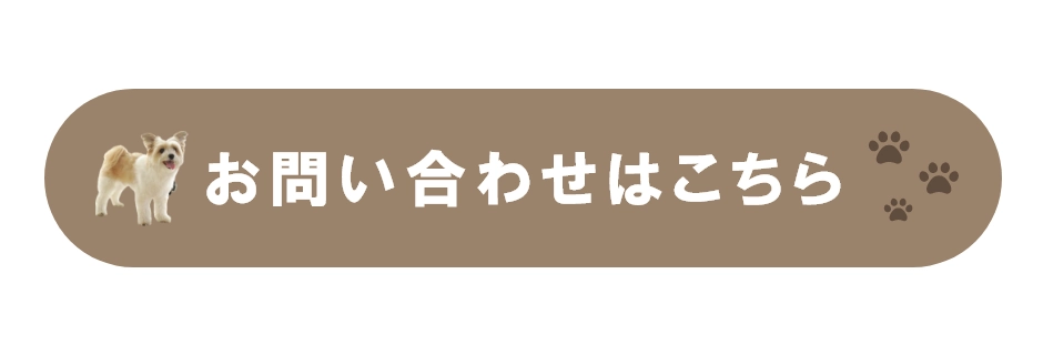 撮影予約・お問い合わせはこちら