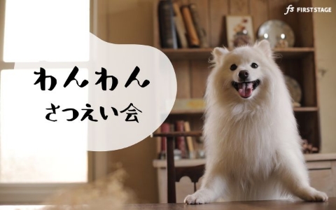 ファーストステージのペット撮影プラン（わんわん撮影会）(奈良・大阪・京都・兵庫（伊丹・宝塚）・三重（四日市）