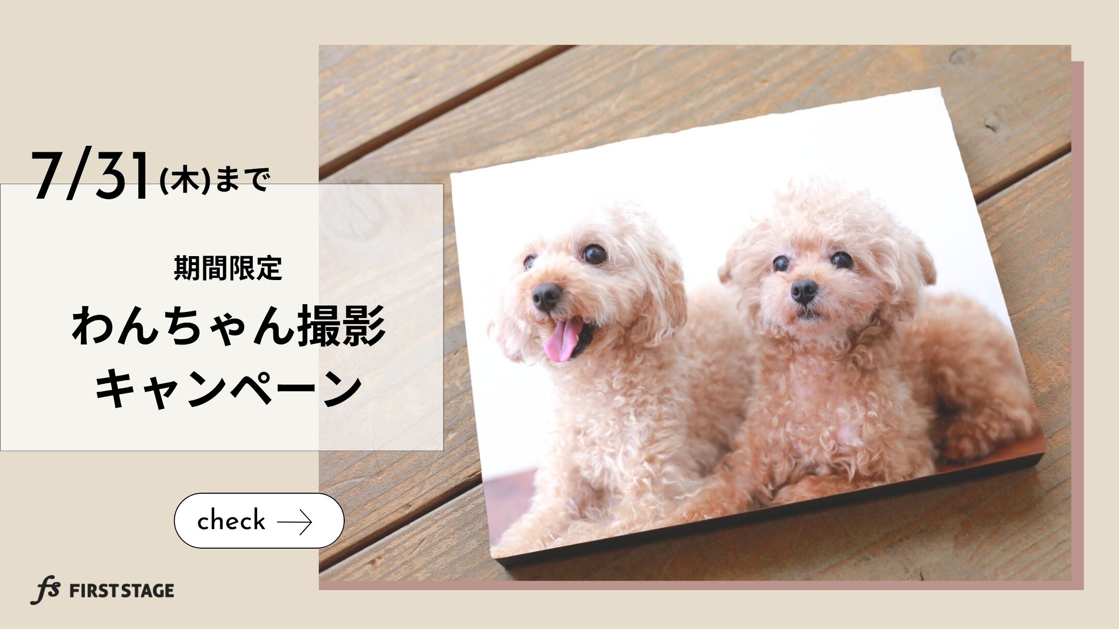 わんわん撮影会