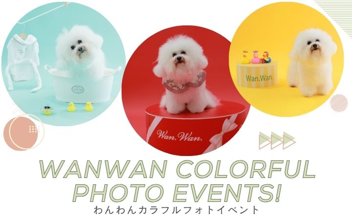 わんわんカラフルフォトイベント