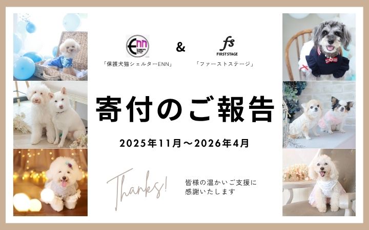 寄付のご報告