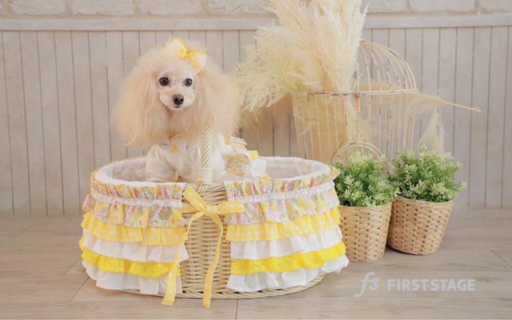 【四半期報告会】振り返りと共有を行いました